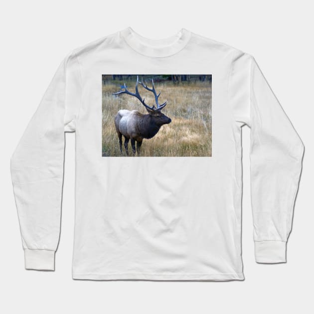 Bull Elk Long Sleeve T-Shirt by briankphoto